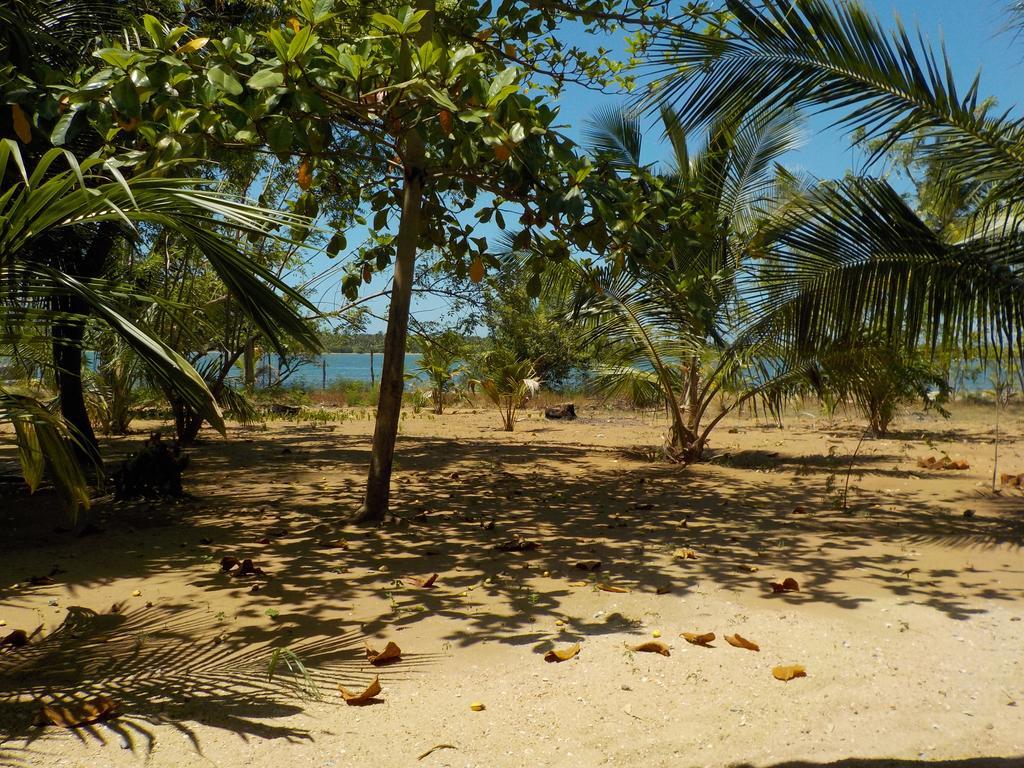 ホテル Reef Pasikudah Nachivantivu エクステリア 写真